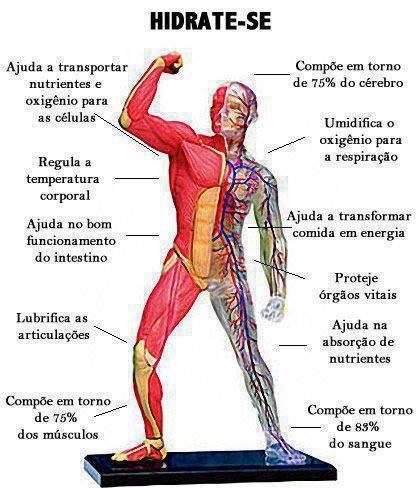 hidrataC3A7C3A3o6030331772415472986 Como Emagrecer com Saúde